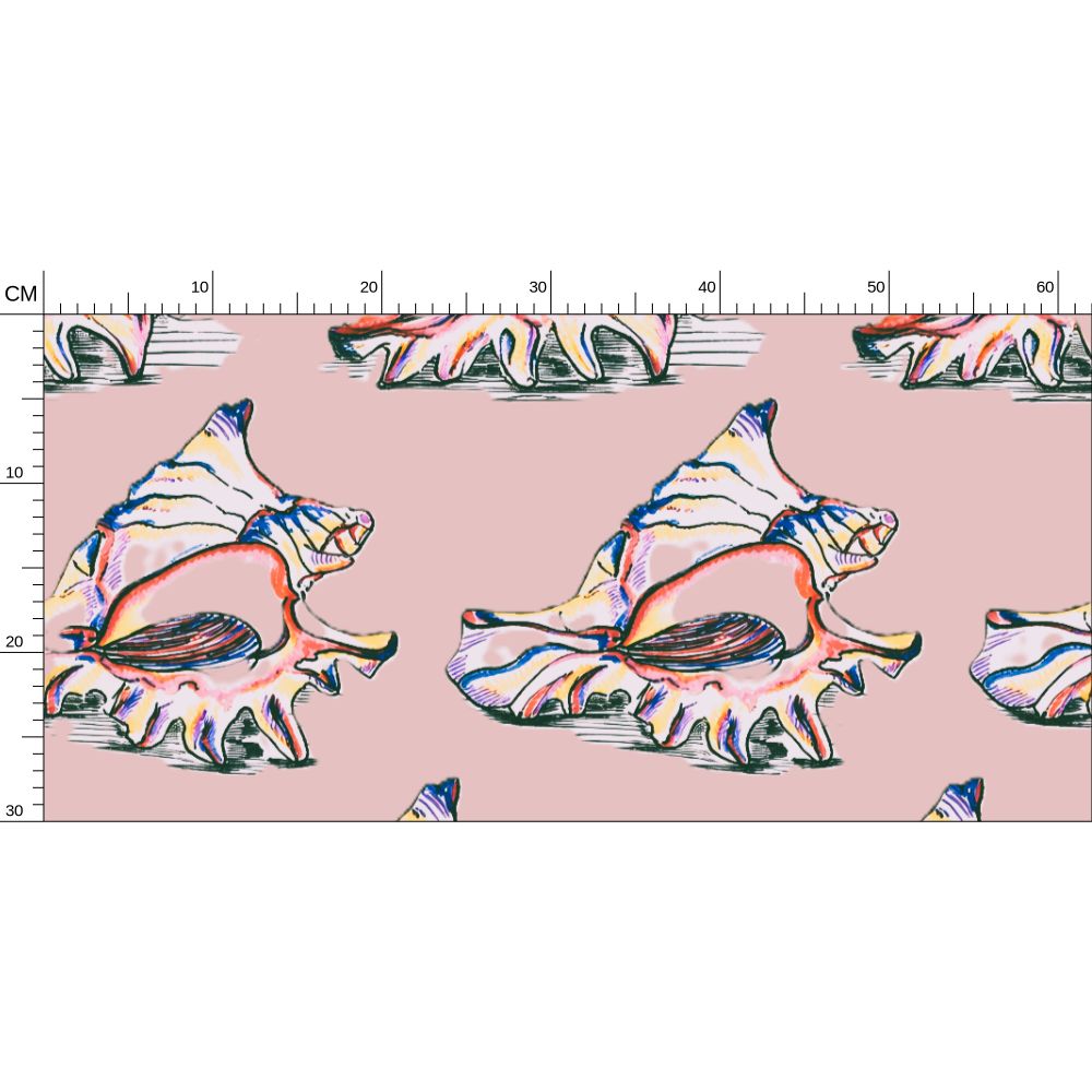 Shells